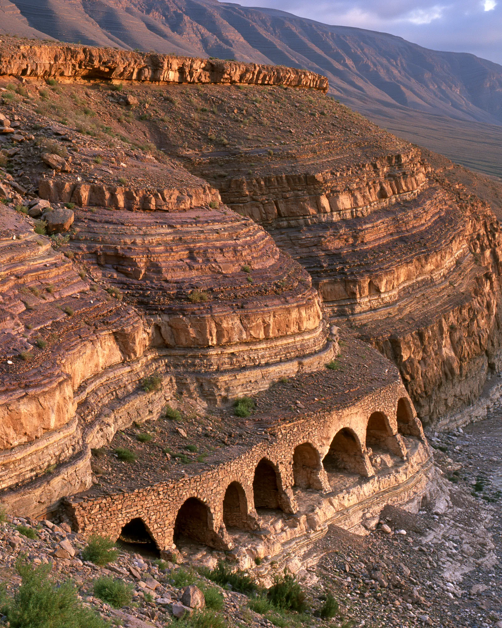 A banded rock cliff with a row of arched hollows at its base, the inspiration for the Ahidous Plum & Lavender rug