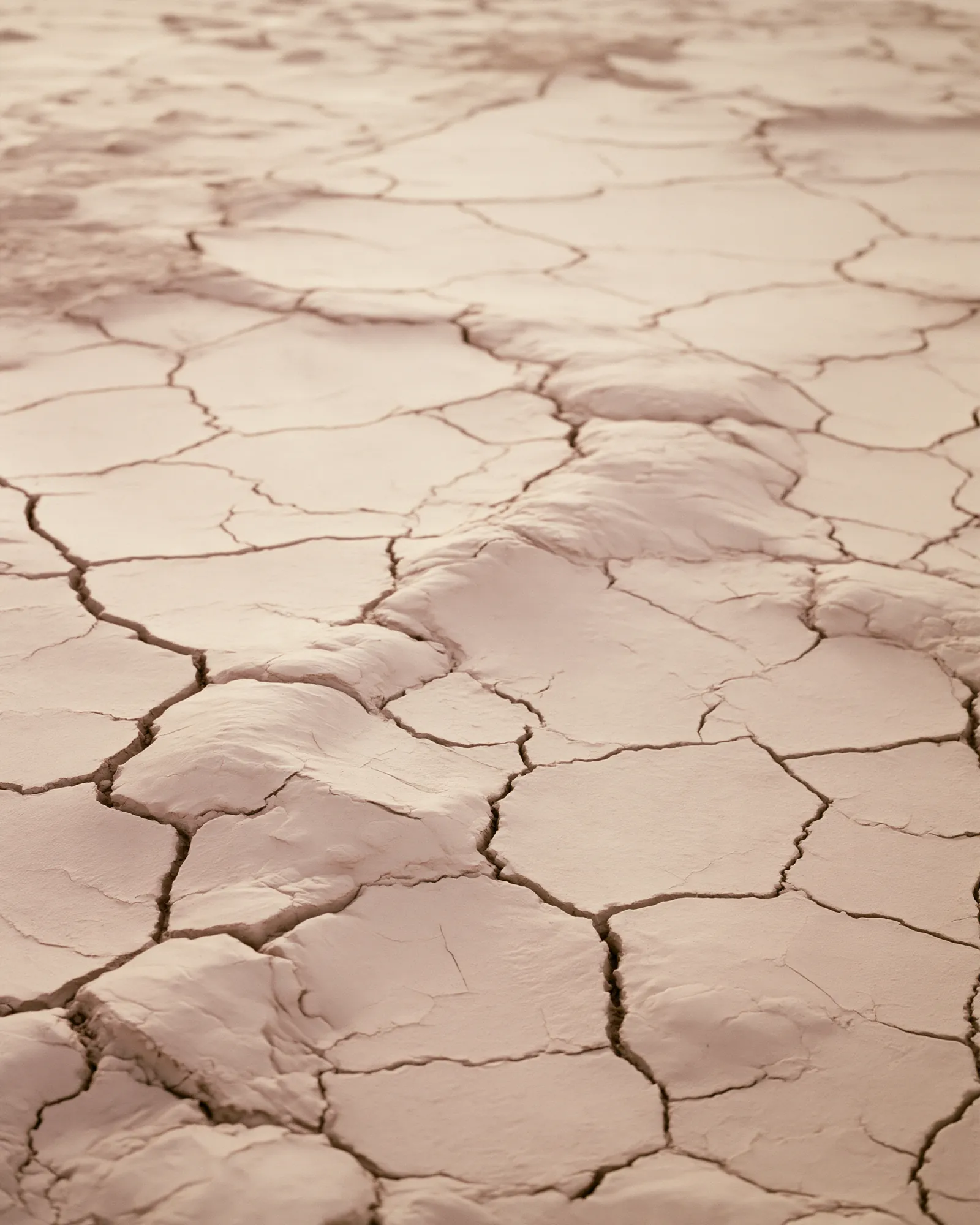 Pale beige dried mud cracked into soft ridged diamonds, seen from above, the inspiration for the Akal Beige rug
