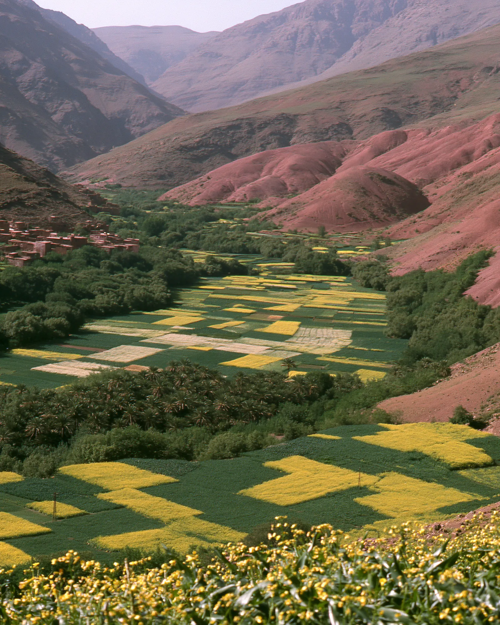 A valley floor of green and yellow field plots below red hills, the inspiration for the Ammas Coral & Brown rug