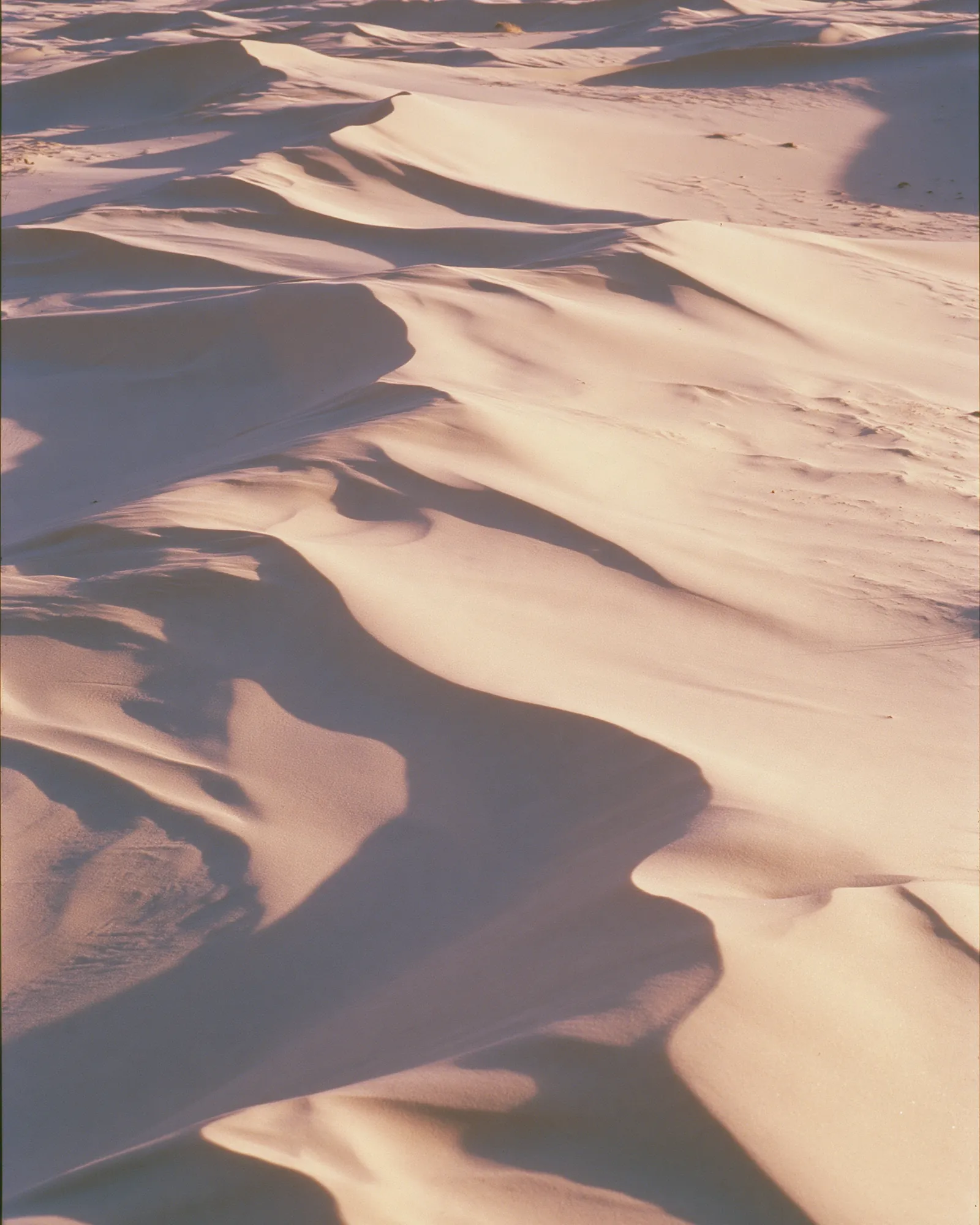 Pale dune ridges seen from above, the inspiration for the Draa Ivory rug