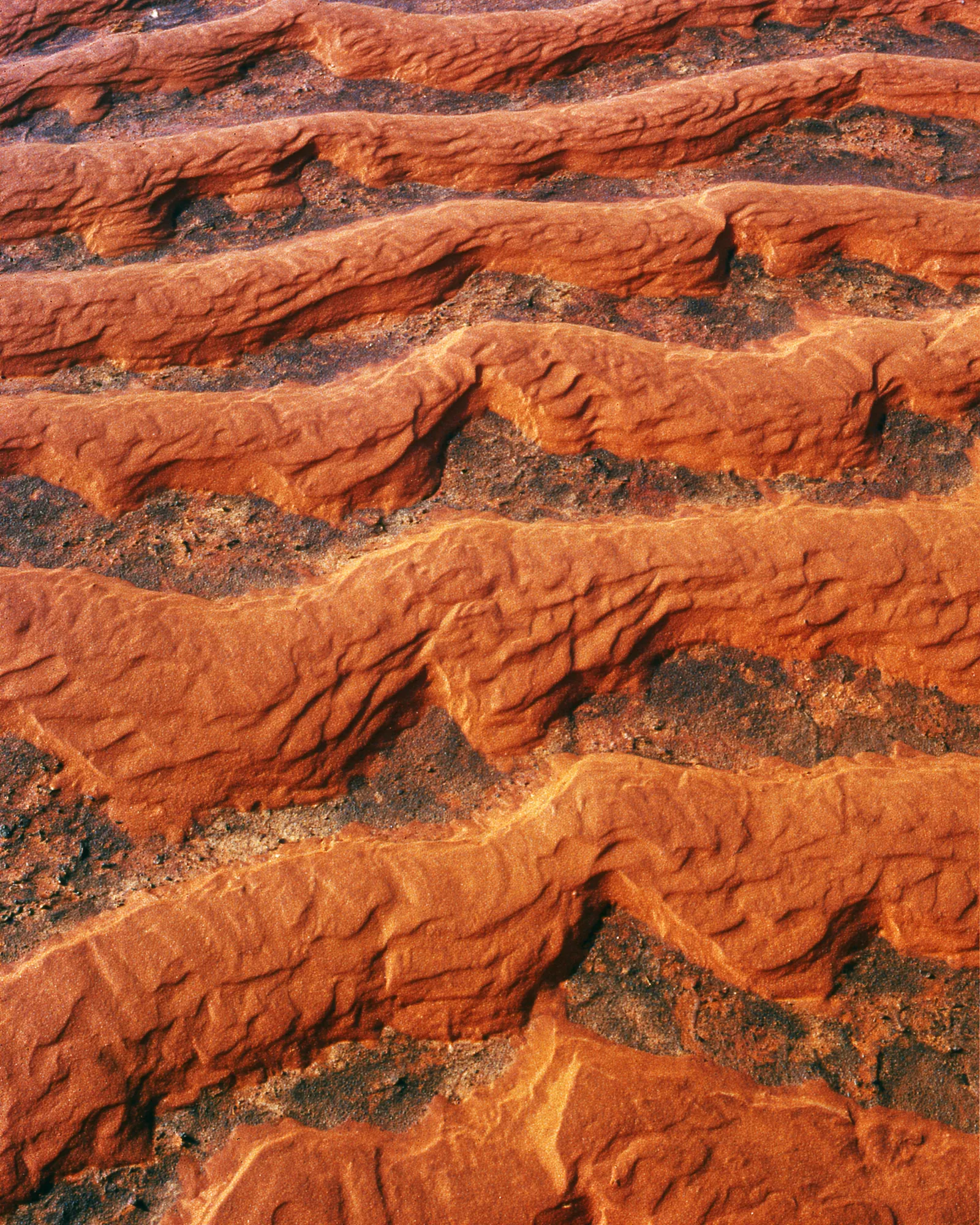 Rust-red rippled earth in long ridges, seen from above, the inspiration for the Draa Rust rug