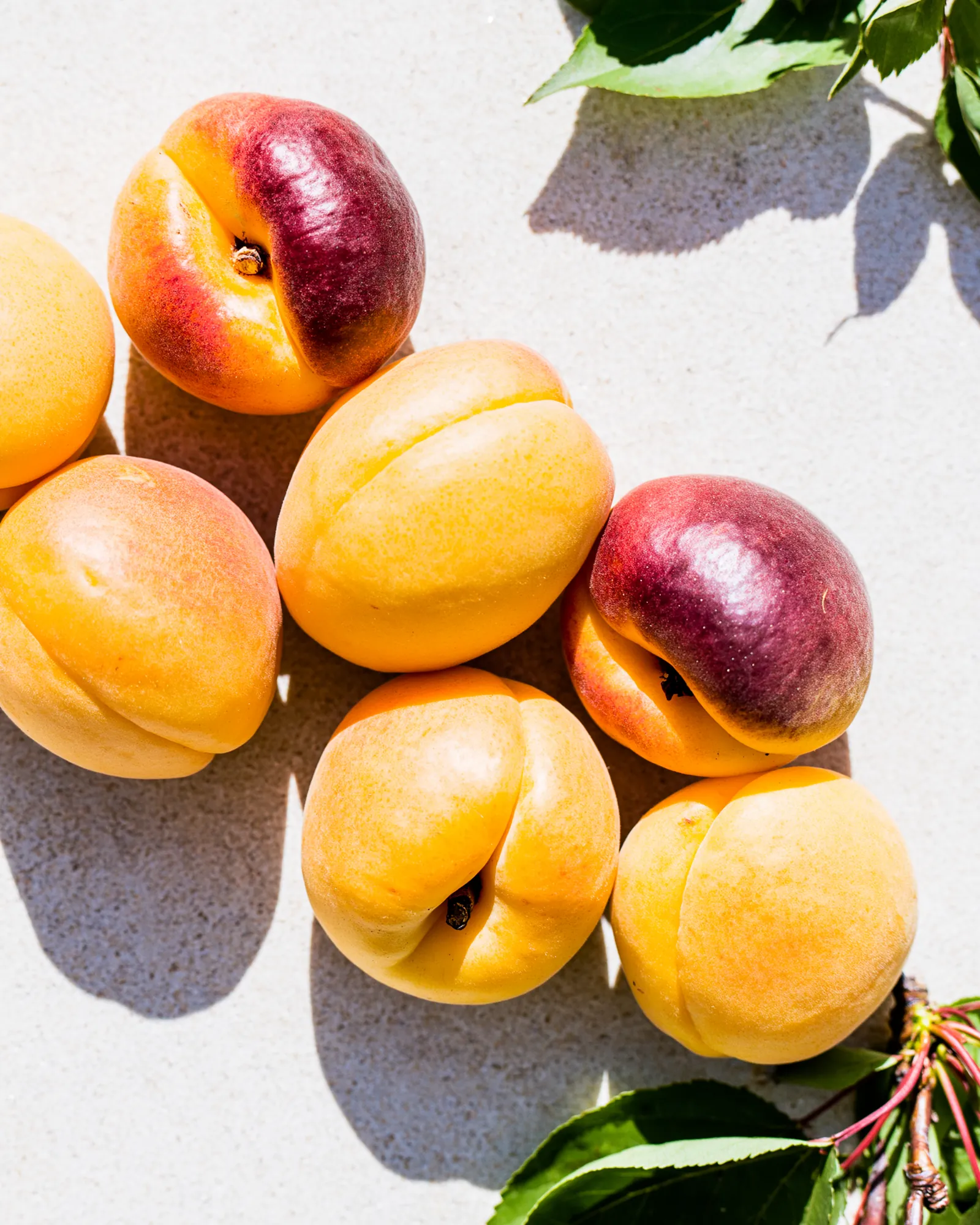 Ripe apricots on pale stone with green leaves, the inspiration for the Fondouk Teal & Ochre rug