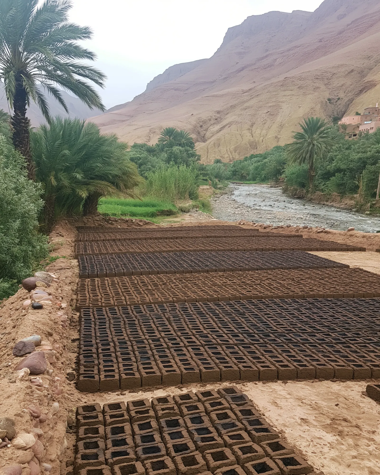 Dark mud bricks laid out to dry beside palms and a river, the inspiration for the Hamada Gray rug