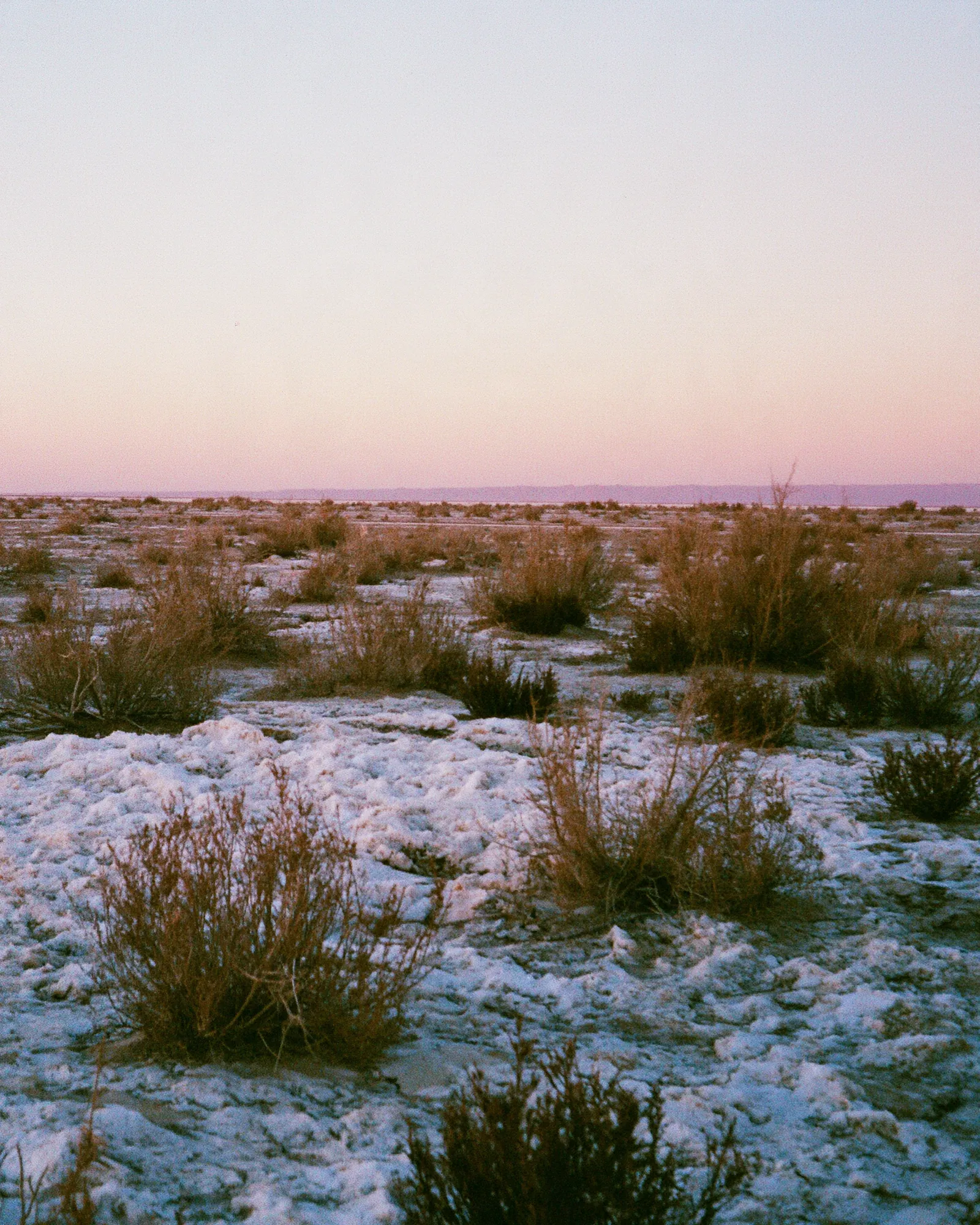 Pale salt crust and desert scrub under a pink dusk sky, the inspiration for the Tifinagh Peach & Camel rug