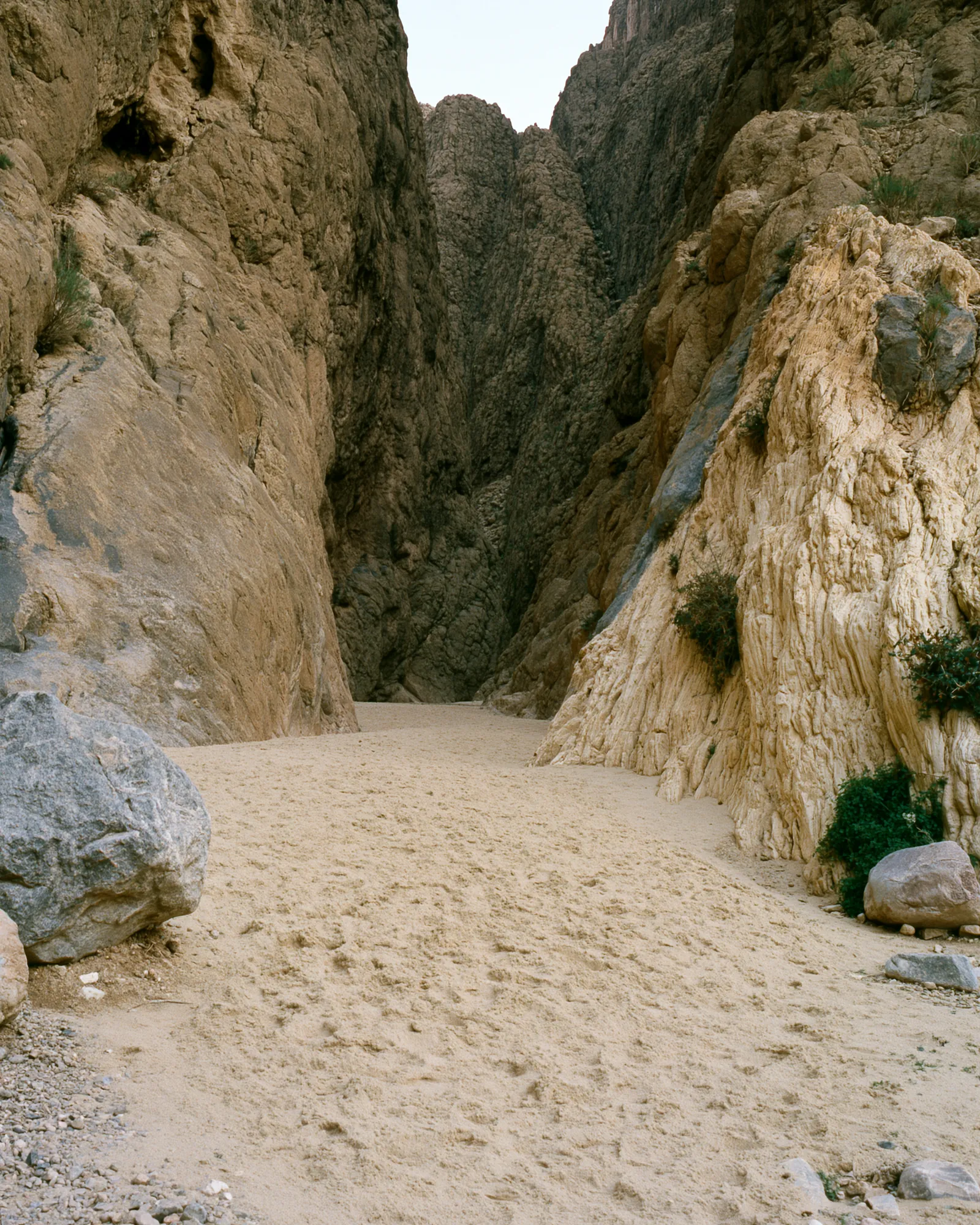 A narrow sandy gorge between banded cliffs, the inspiration for the Todra Brown & Camel rug