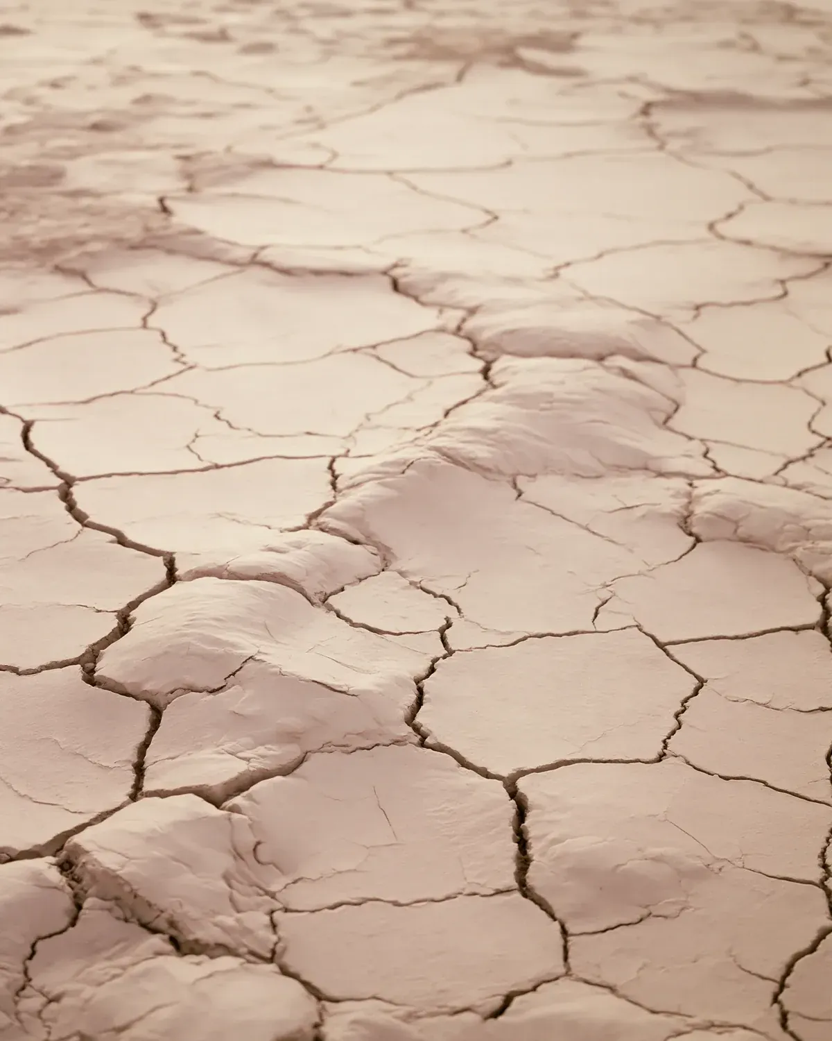 Pale beige dried mud cracked into a mosaic of plates