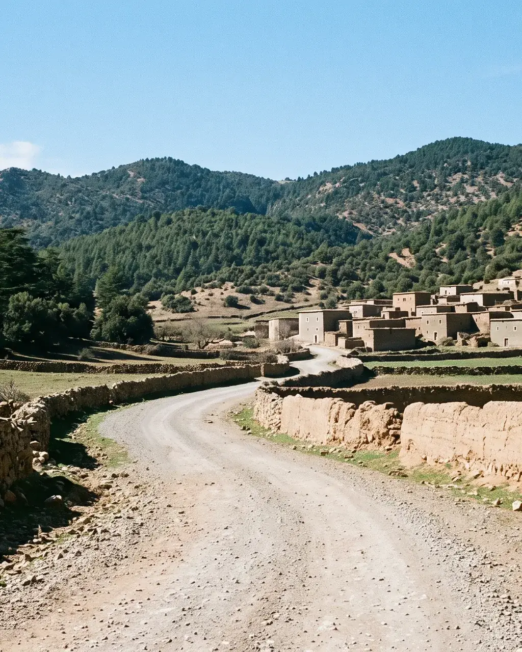 A road in the hills of Morocco's Middle Atlas, where the washed rugs dry in the sun and mountain air